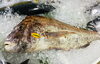 「魚魚市場鮮魚コーナーおすすめは「大鯛」入荷しました！」