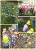 「サボさんのお花  交野市  小規模保育園」