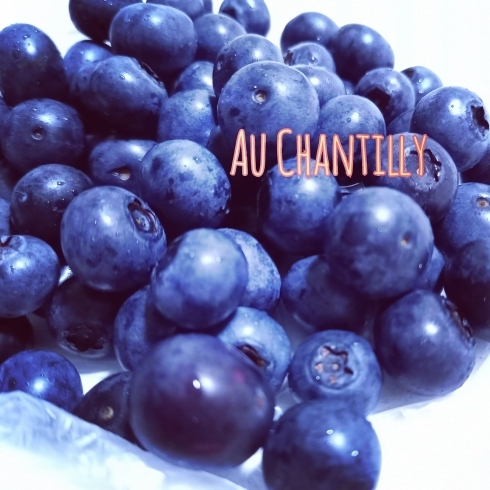 タルトミルティーユに使っているブルーベリー☆「採れたてブルーベリー✨地元のフルーツをぜひお楽しみくださいませ♡」