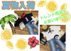お買い得商品でトータルコーデも!!「7月突入!!店内も本格的に夏仕様です★」