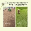 「ワンちゃんのドッグラン！人工芝の施工事例！住まいるガーデン」