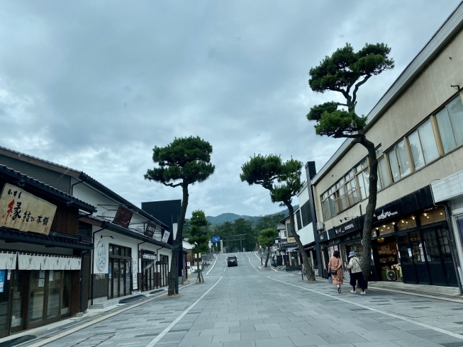 「本日は出雲大社朝参りがおすすめ！そのあとのランチは出雲そばをぜひ♪」