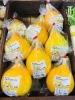 「魚魚市場おすすめ商品は「コリンキー」です」