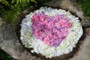 普門寺で、かわいい♡を見つけました「近隣お出かけ情報（真庭・普門寺）」