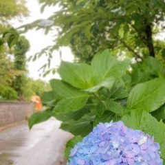 雨の日⛆