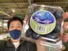 「私が大好きな岩手県二戸地区産の「ブルーベリー」が今朝初入荷したよ〜♫」