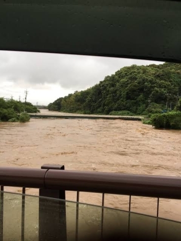 「大雨、皆さん大丈夫でしたか？」