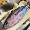 積丹産メジマグロ「夏の食べ物どんどん‼️」