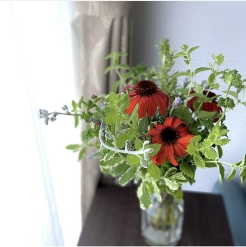 エキナセアの赤い花とミント系のハーブたち「ハーブのミニブーケ」