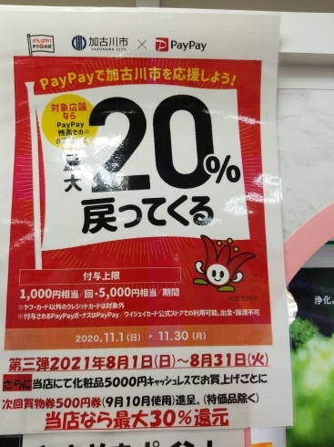 「8月1日～8月31日まで！ﾍﾟｲﾍﾟｲ支払い最大20％還元❣当店なら30％還元」