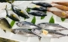 「魚魚市場鮮魚コーナーおすすめは「ヒラアジ・青アジ」入荷しました♪」