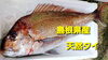 「○本日のお刺身○【島根県産】天然タイ、ヤイトカツオ」