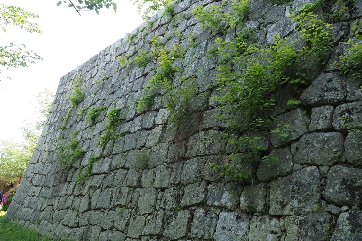 石垣の名城と言われる 丸亀城 は香川県丸亀市にあります 四国内の観光スポット まいぷれ 新居浜市 石垣の名城と言われる 丸亀城 は香川県丸亀市にあります 四国内の観光スポット まいぷれ 新居浜市