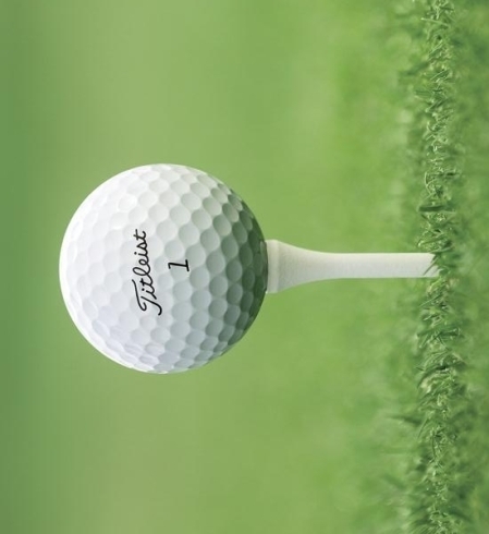 肩関節の構造について 大田原 那須塩原 西那須野 接骨院 整骨院 肩こり 腰痛 膝痛 運動 トレーニング 骨盤 姿勢 ダイエット 矯正 産後 歪み Personal 接骨院のニュース まいぷれ 大田原市 肩関節の構造について 大田原 那須塩原 西那須野 接骨院 整骨院 肩こり 腰痛 膝痛 運動 トレーニング 骨盤 姿勢 ダイエット 矯正 産後 歪み Personal 接骨院のニュース まいぷれ 大田原市