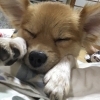 男の子並みのヤンチャっ子
