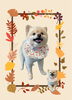 「Dog salon mofu mofu　余市町」