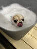 酵素温浴中🛁*。「初めまして( ᵕᴗᵕ )」