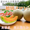 「メロン掲載・販売のお知らせ📢」