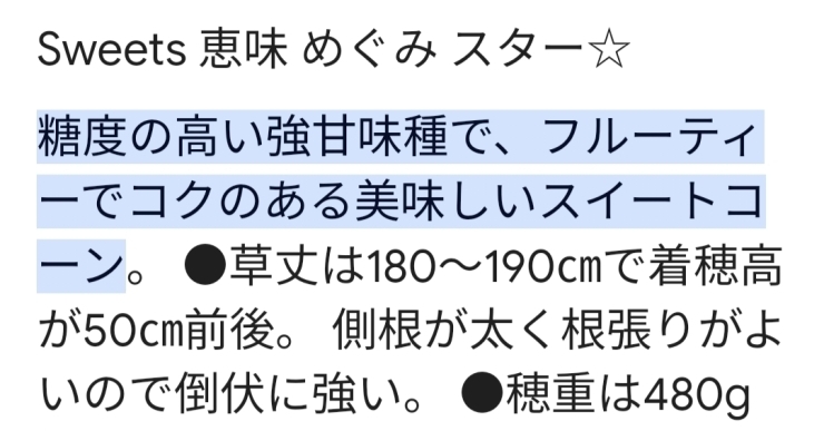 糖度高いくて朝採れ新鮮！間違いなし「八王子産　とうもろこし 恵味スター　6/17 月曜日　入荷します。　本日、告知なしで持ってきていただいた分、2時間たらずで即完売！朝採れ八王子産とうもろこし　八王子　八日町　802SKYSHOP　」