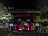 「2022年11月19日（土）慈眼寺の紅葉まつり初日へ行きました！」