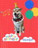 「Dog salon mofu mofu　余市町」