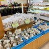 「直売所では、地元産野菜の入荷が増えてきました！」