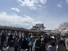 「2025年津山さくら祭り」
