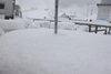 「昨晩から雪が降りました！」
