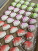 季節の上生菓子「こいのぼり」「4月27日(月) 定休日です」