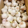 「岩手県産　「新物にんにく」です。」