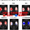 実際に五感を使った学習の方が、圧倒的に効果が高い❣️「人間らしさを奪うデジタル機器　【育児の基本は挨拶から】〜本学重視の学習塾併設英会話教室〜」