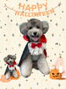 「Dog salon mofu mofu　余市町」