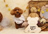 レオくん「Anniversary photo　」