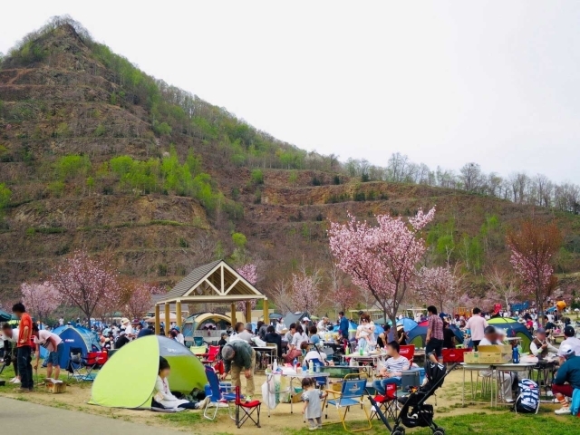五天山公園の桜 札幌で楽しむ桜名所 お花見スポット巡り まいぷれ 札幌市西区