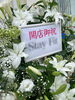 「白を基調にした華やかなスタンド花の制作事例」