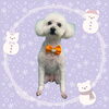 「Dog salon mofu mofu　余市町」