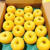 「岩手県産　『春香の恋(はるか)』が今年も入荷しました」