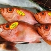 「魚魚市場鮮魚コーナーおすすめは「宮崎県産あゆ・チカメキントキ・ノドグロ」です♪」