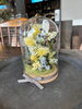 ガラスドームアレンジ「新鮮なドライフラワー専門店【草花ToA】お祝いアレンジオーダー受付中＊」