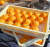 自然に育まれたフレッシュな果実🍊✨🍊「川口おみやげ推薦品「なつみちゃんぶれっど」のおいしさご紹介その１♪」