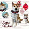 「Dog salon mofu mofu　余市町」