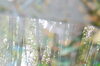 化粧井戸　©なるさん「隨心院【 やっぱり京都、そして伏見】～ vol.1 ～  Of course We’re going to Kyoto and Fushimi. ～」