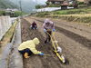 種まき機につかえた土を竹の棒で落としながら種まき「ヒマワリの種まきをしました。」