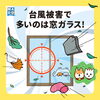 「窓にシャッター」