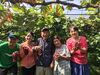 「西条市【戸田果樹園】×【まいぷれ新居浜＆西条】コラボ　プレゼント企画です！」
