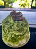 おふさ観音名物かき氷(写真は宇治金時ミルクです)「本日の境内の様子です」