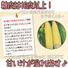 「一足先に♪ゴールドラッシュ掲載のご報告🌽」