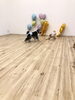 じゃれっこ中「ましゅまろ幼稚園　(´∀｀)」