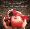 本日発売！】新・発酵エイジングケア* 誕生✨ | エステプロ