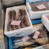 「ハタハタが無くなるギリギリで入荷しました🐟️」